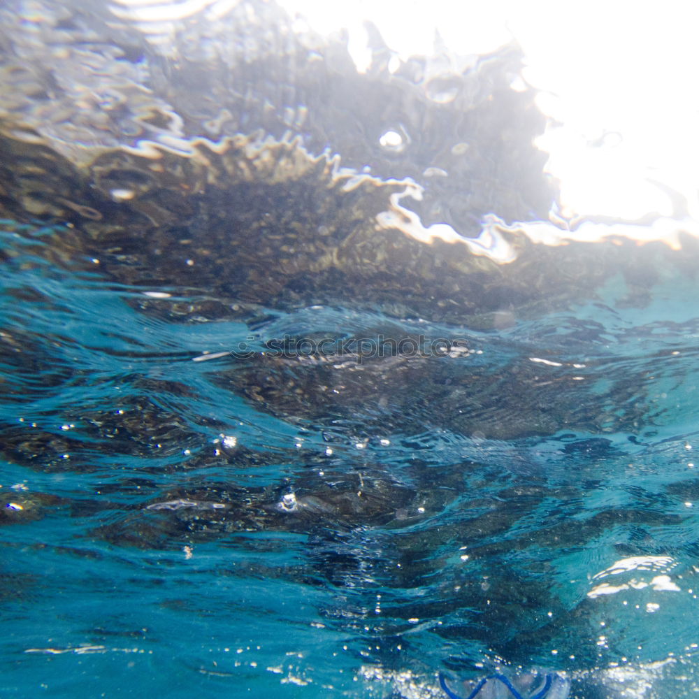 Similar – Group of friends jumping from boat for a dive