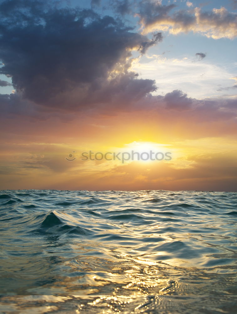 Similar – Image, Stock Photo By the sea Back-light Jump