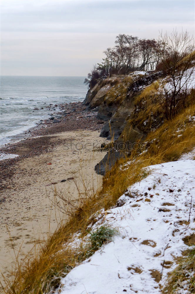 Similar – Image, Stock Photo West beach on the Darß