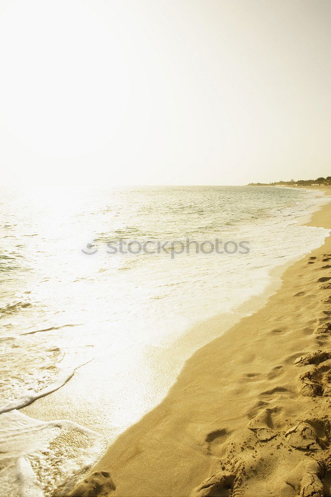 Similar – Young woman sitting alone on the beach and has wanderlust