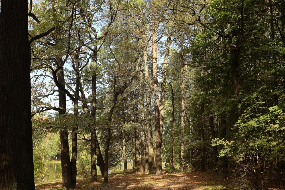 Similar – Image, Stock Photo lonely Nature Landscape