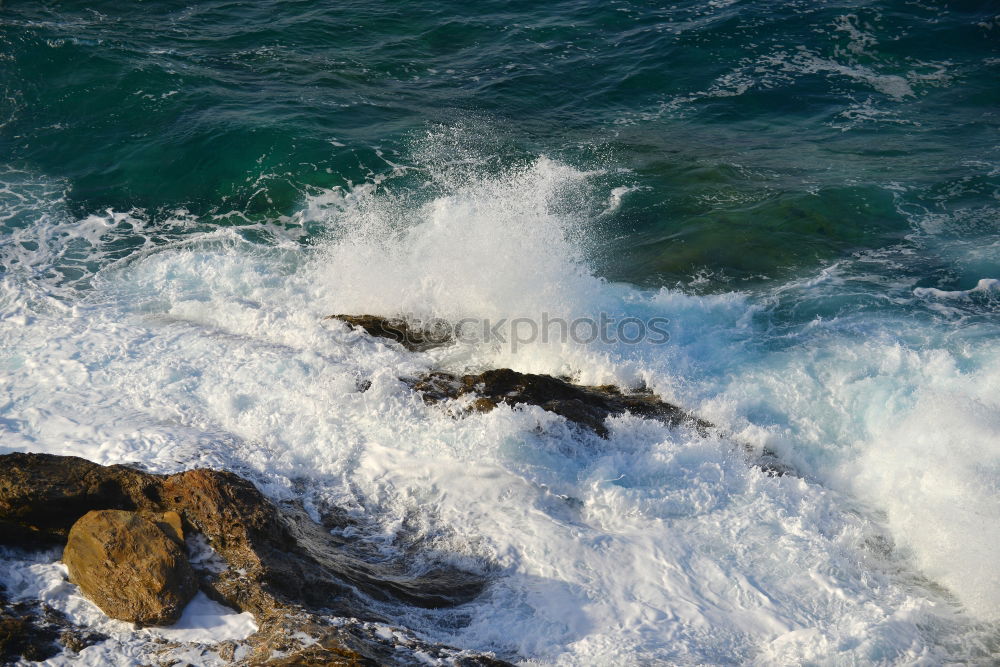 Similar – Storks nest on the Portuguese coast