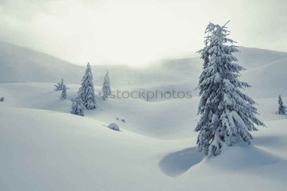 Similar – Image, Stock Photo Cottage in the snow