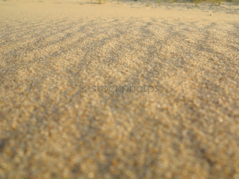 Similar – shells on the beach Lake