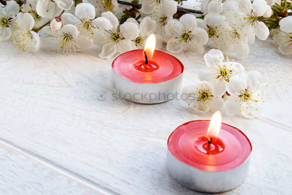 Similar – colourful spring flowers in white water bowl with three burning candles