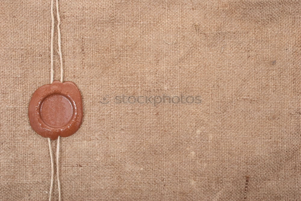 Similar – Image, Stock Photo Hazelnuts on a wooden table in a row