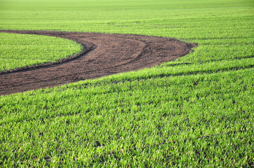 Similar – Green tracks in the grass