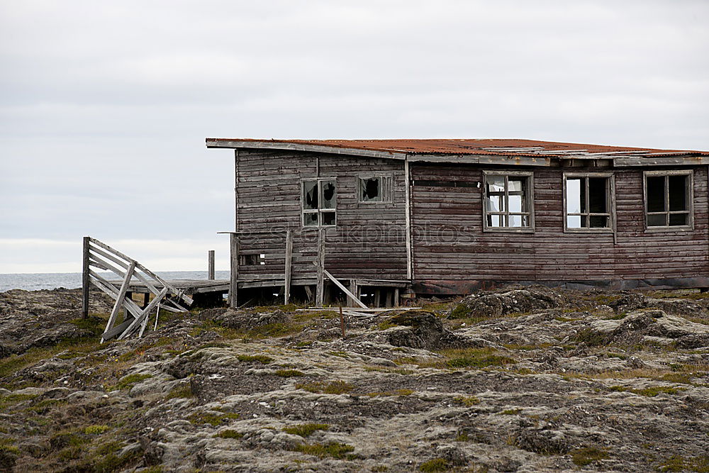 Similar – Atlantic Wall Tourism