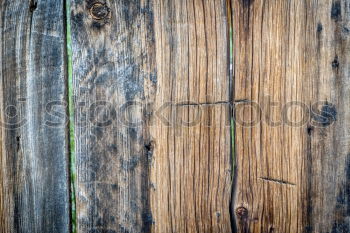 Similar – Image, Stock Photo Drop On Wood Close-up