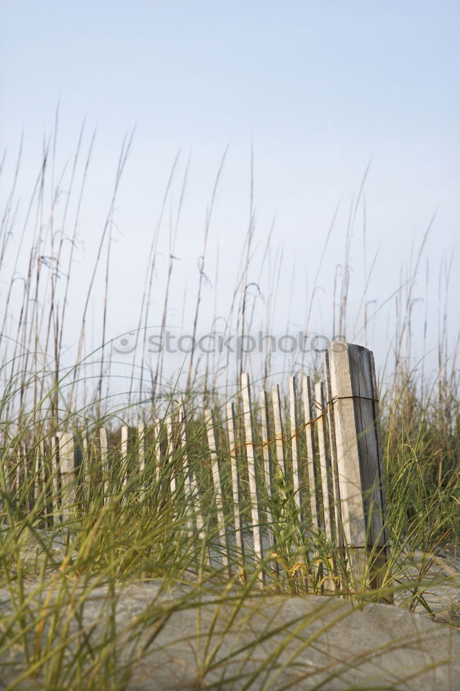 Similar – lonely beauty Scotland