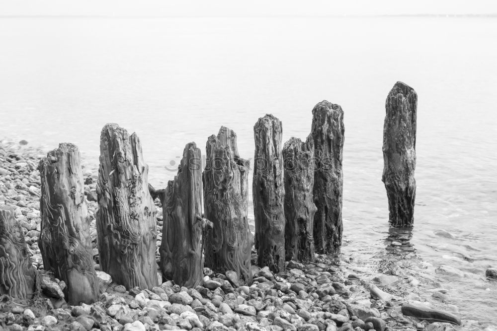 Similar – Ebbe Gezeiten Wattenmeer