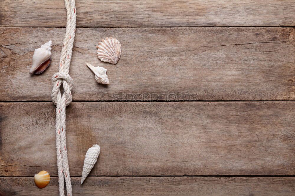 Similar – Old hammer on wooden background