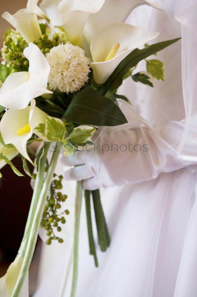 Similar – Image, Stock Photo Bridal bouquet with silver decoration and white bag