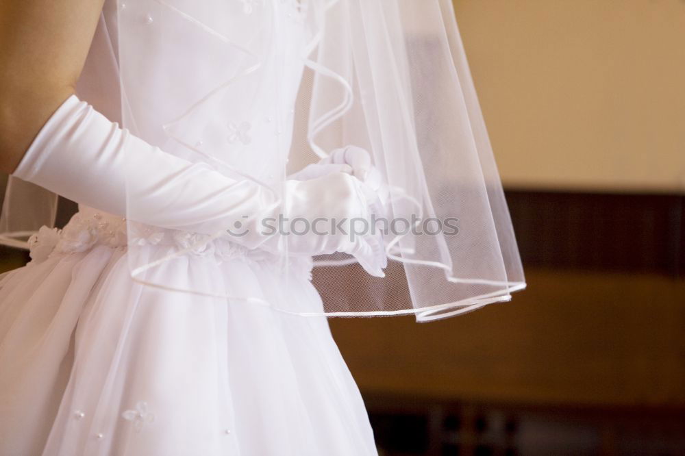 Similar – wedding Bride Bride groom