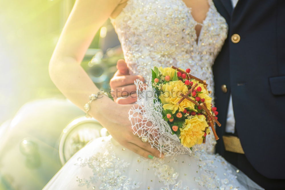 Similar – Image, Stock Photo Bride and groom on wedding ceremony