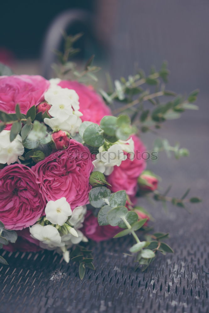 Image, Stock Photo Bouquet in female hands