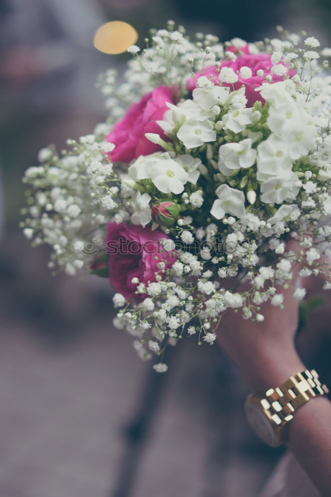 Similar – Image, Stock Photo Bouquet in female hands