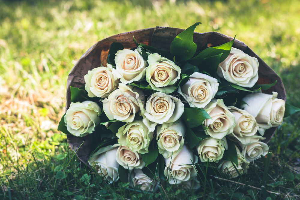 Similar – Image, Stock Photo wedding Wedding Bouquet