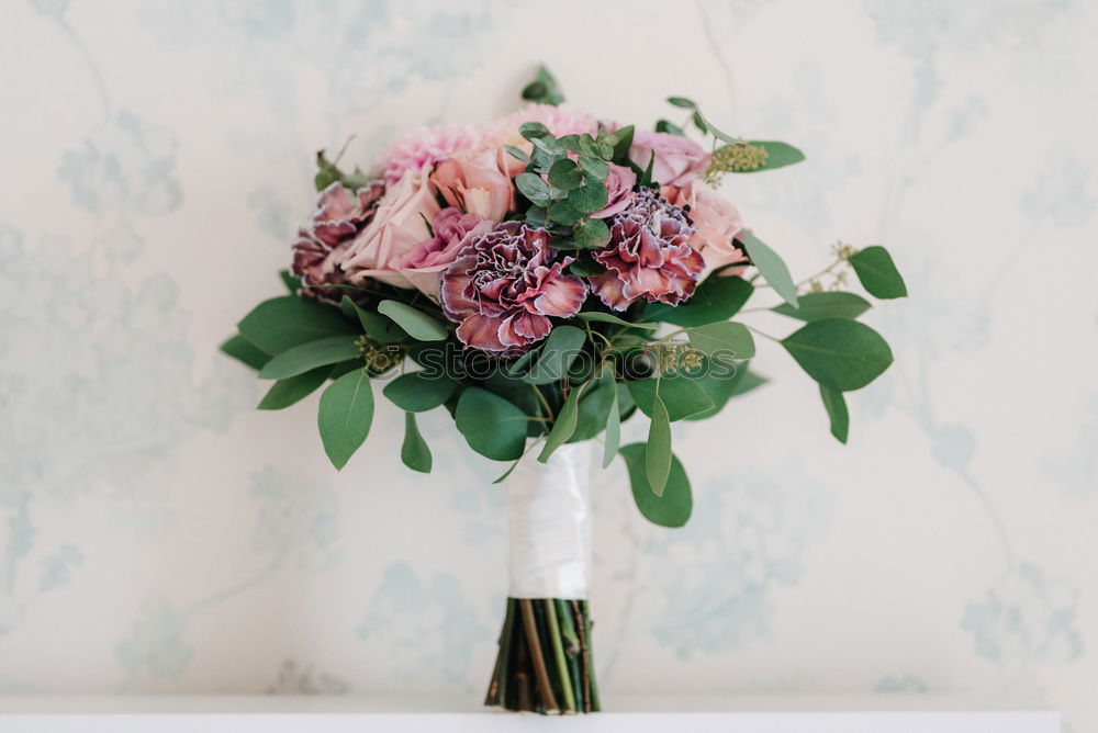 Similar – pink hydrangea flowers with watering can on wooden table