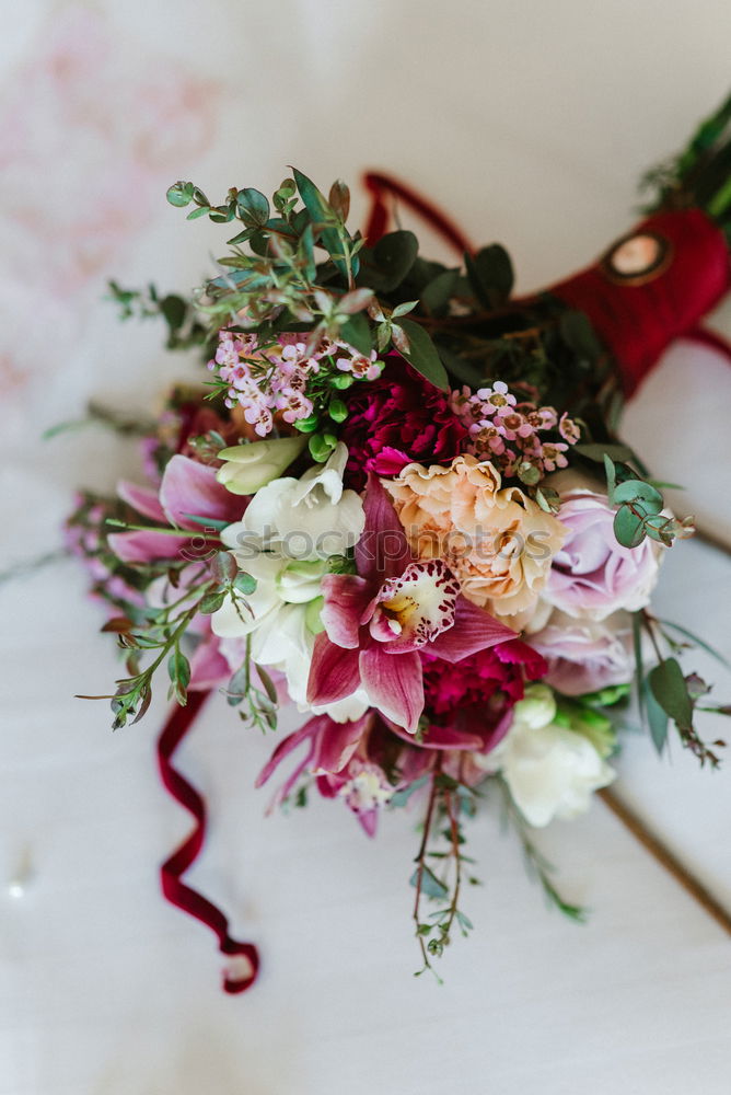 Similar – Flowers with pink ribbon