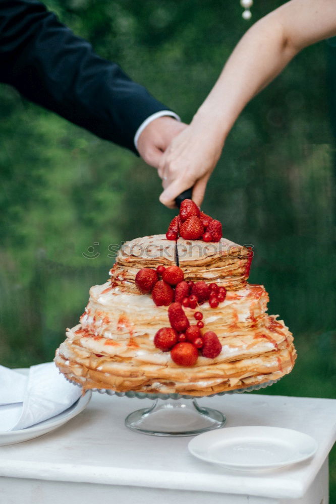 Similar – Image, Stock Photo Preparing berries cake with yogurt frosting