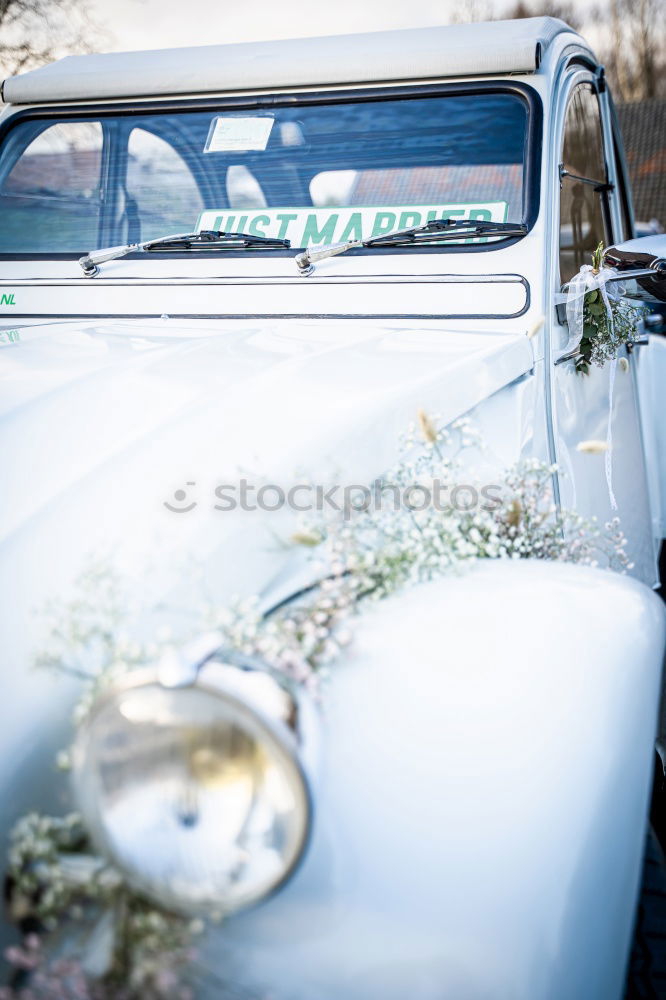 Similar – Image, Stock Photo Couple sitting in car Car