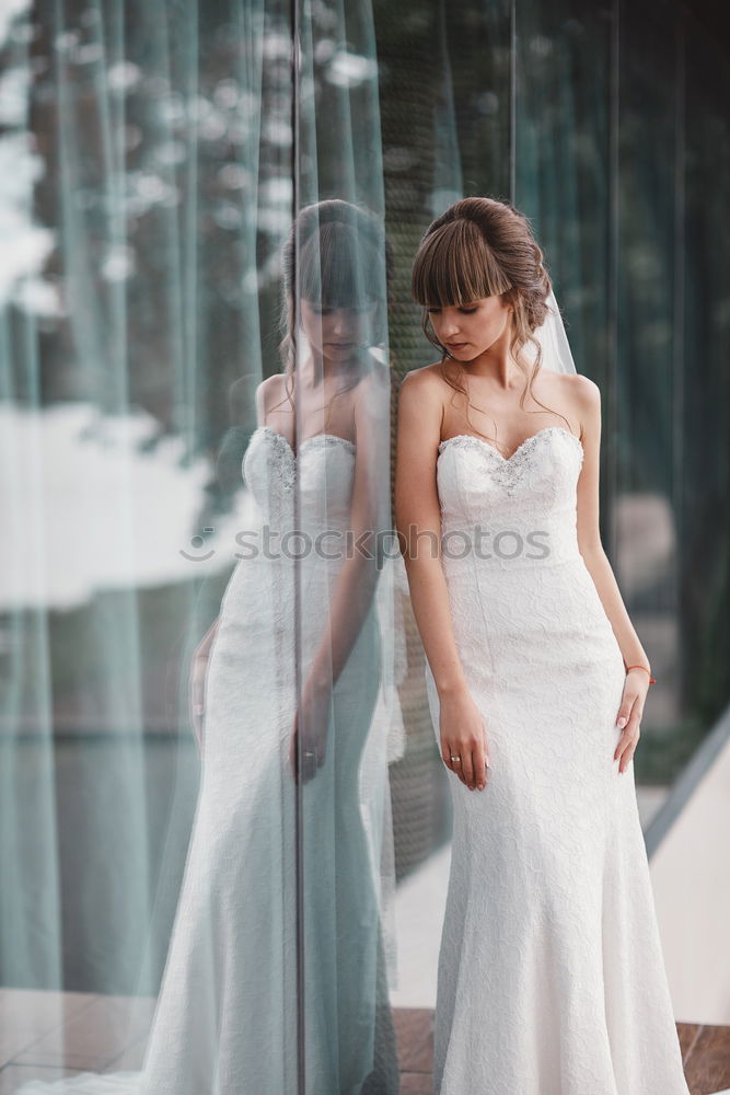 Image, Stock Photo Woman wearing shoe on lady foot