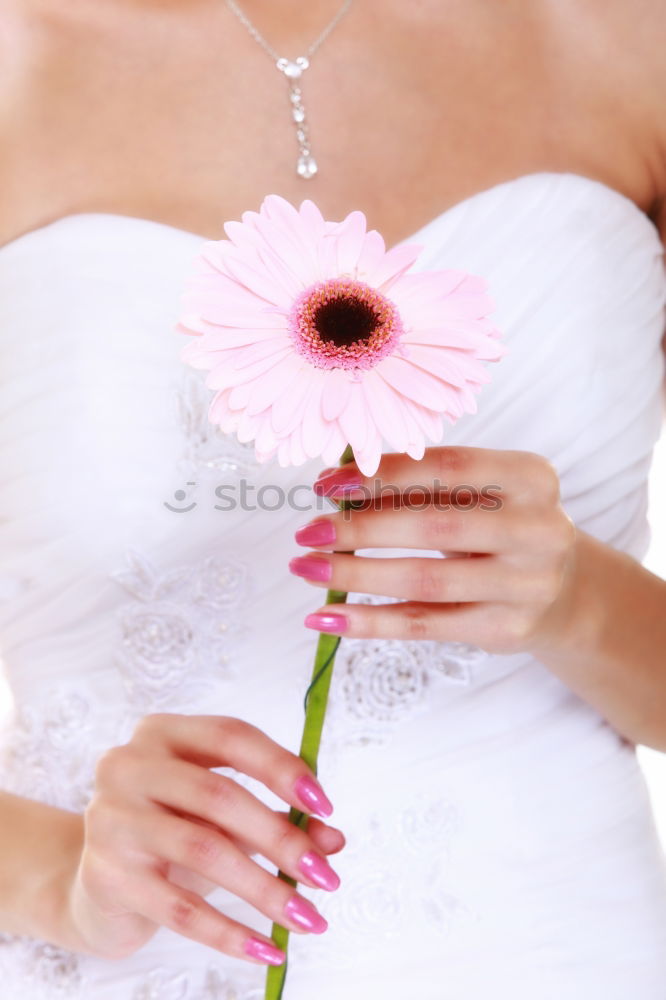 Similar – Wedding, sparkling wine and flowers