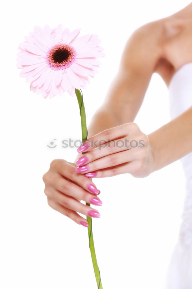 Similar – Image, Stock Photo milk bath shooting