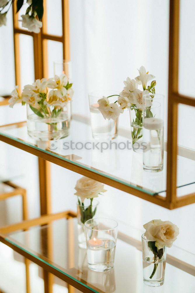 Image, Stock Photo sunshine Lifestyle Elegant