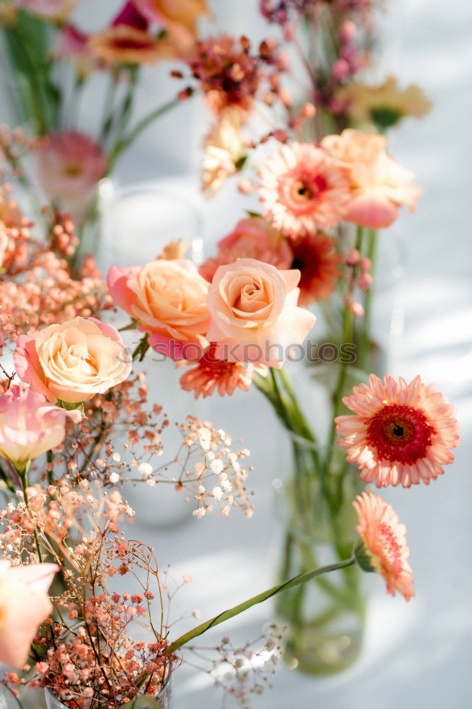 Similar – Bouquet with wild daisies