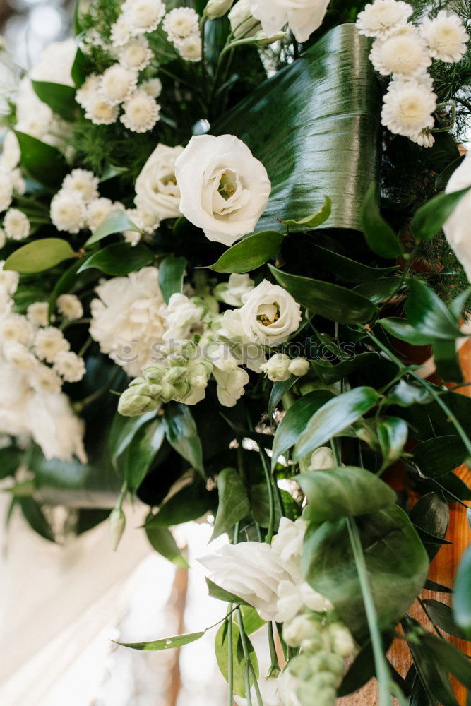 Similar – Image, Stock Photo welcome wreath Wreath