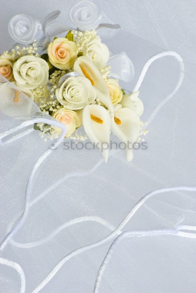 Similar – Low angle view of a pretty wedding bouquet of white flowers lying on a table top with selective focus and copyspace