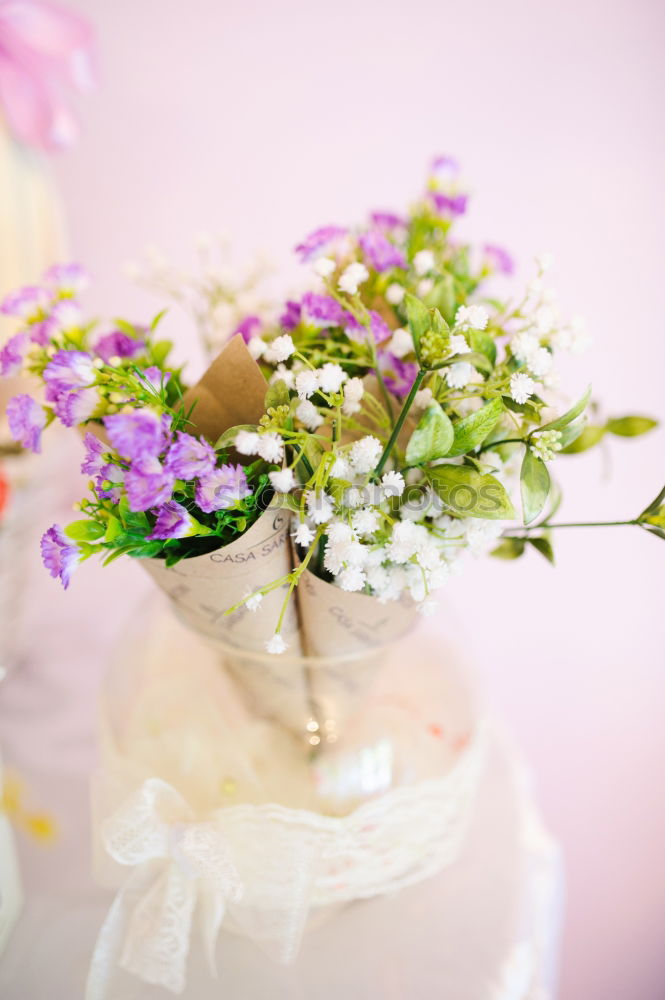 Similar – Image, Stock Photo pot floret Plant Flower