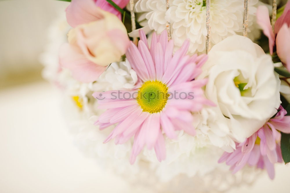 Similar – Image, Stock Photo Flowers and heart decor in vase