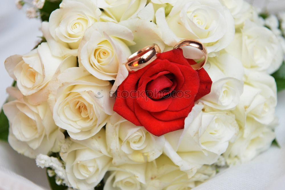 Similar – Image, Stock Photo Bridal bouquet of roses 1