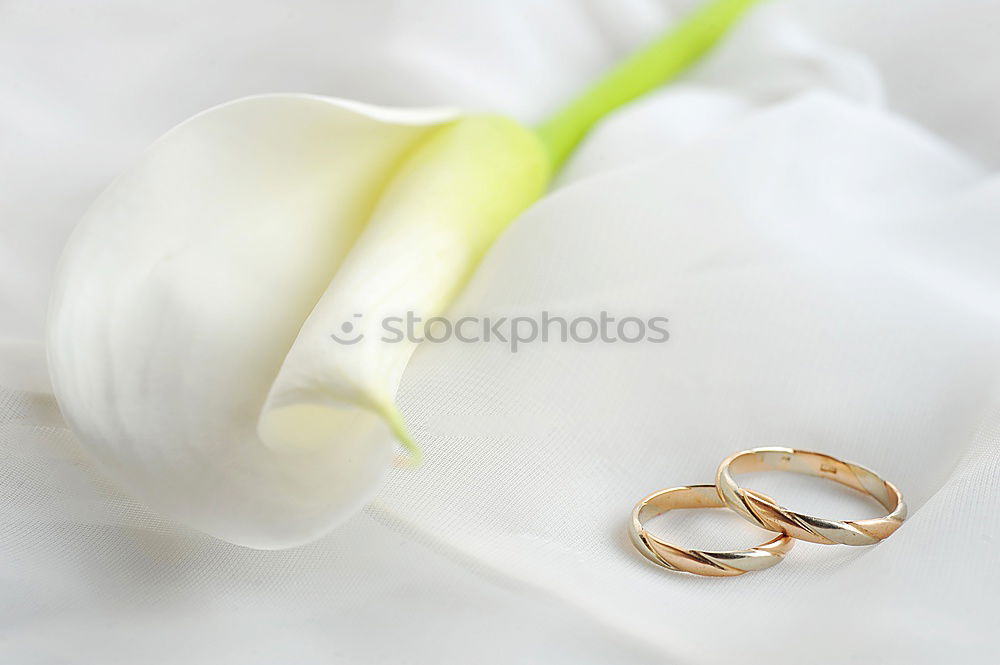 Similar – Foto Bild for ever Ehering Schmuck