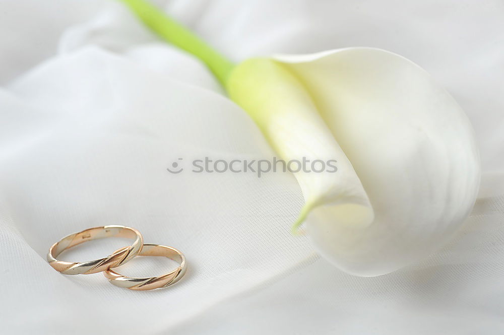 Similar – Foto Bild for ever Ehering Schmuck