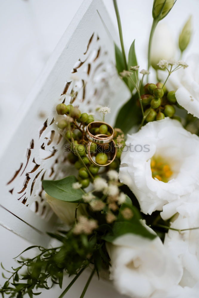 Similar – Low angle view of a pretty wedding bouquet of white flowers lying on a table top with selective focus and copyspace