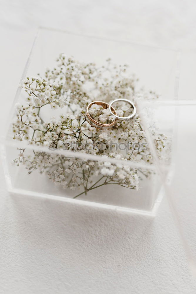 Similar – Wedding rings detail