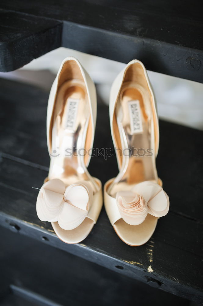 Similar – Image, Stock Photo ballet shoes Lifestyle