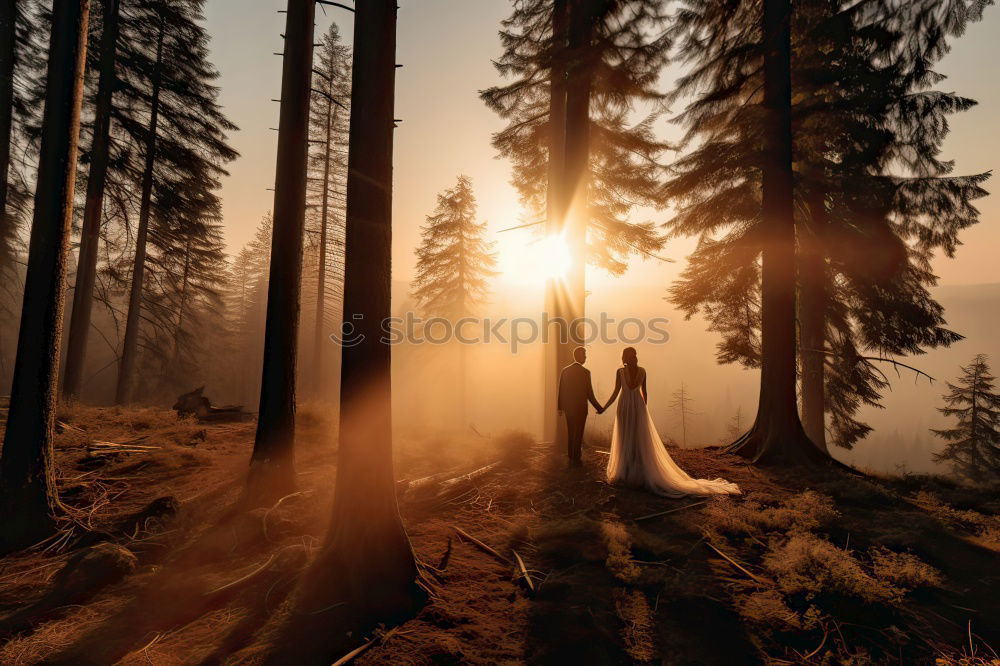 Similar – Image, Stock Photo Man in forest looking into backpack