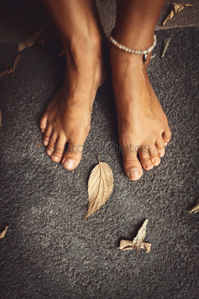 Similar – black-footed meadow Feet