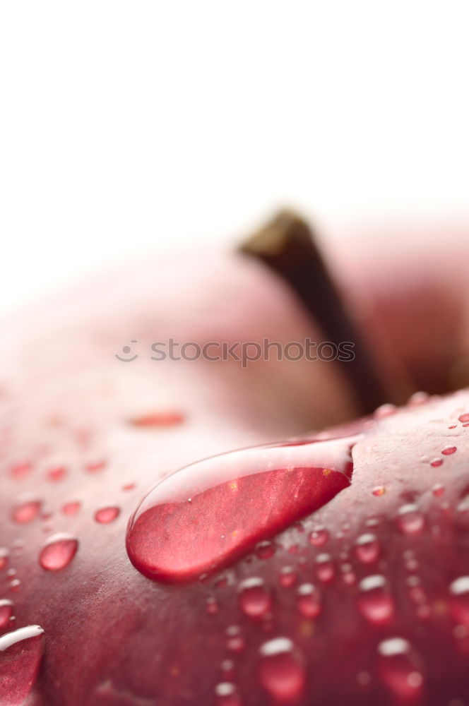 Image, Stock Photo raindrops not falling on my head