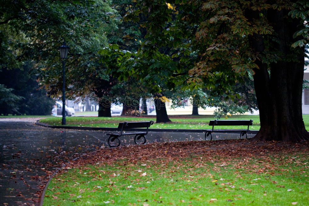 Similar – Foto Bild Stadtpark Tourismus