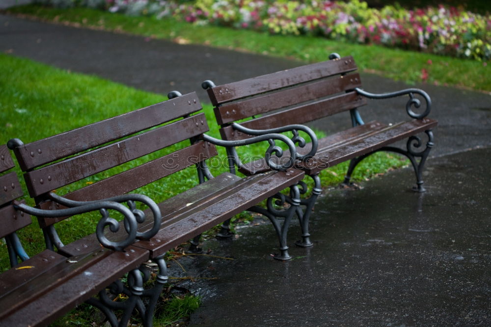 Kein Bankwetter Winter