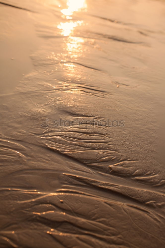 Similar – Image, Stock Photo Beach 6 Sunset Lake Nature