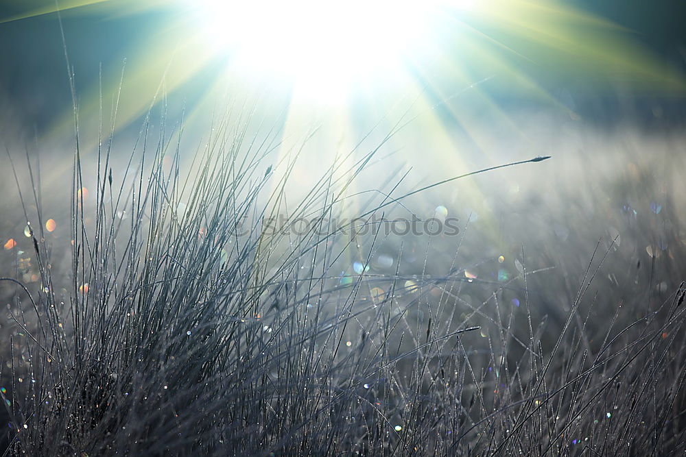 Similar – Image, Stock Photo residual recycling Nature