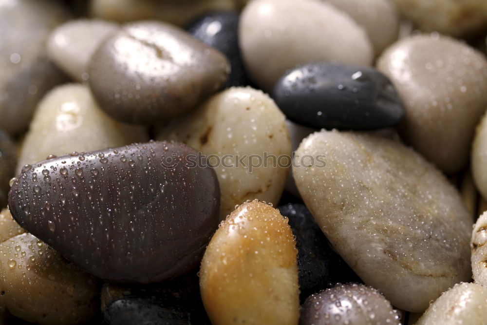 Similar – Image, Stock Photo Einstein Nature Stone