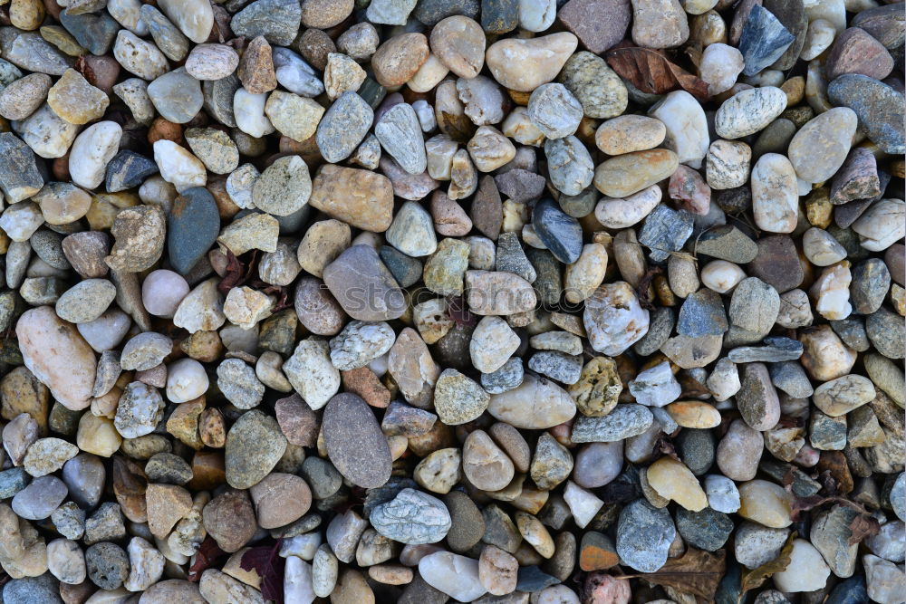 Similar – pebbles Stony Hard